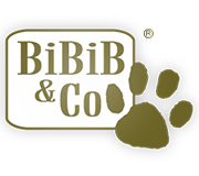 Bibib and Co